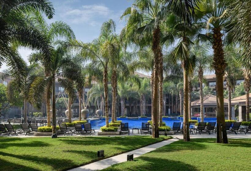 اتاق لوکس, Dusit Thani Lakeview Cairo