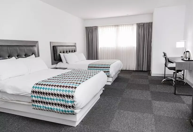 اتاق سوپریور, Costa Del Sol Wyndham Tumbes