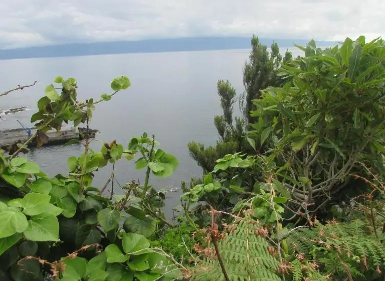 3ベッドルームハウス, Adega Do Gato