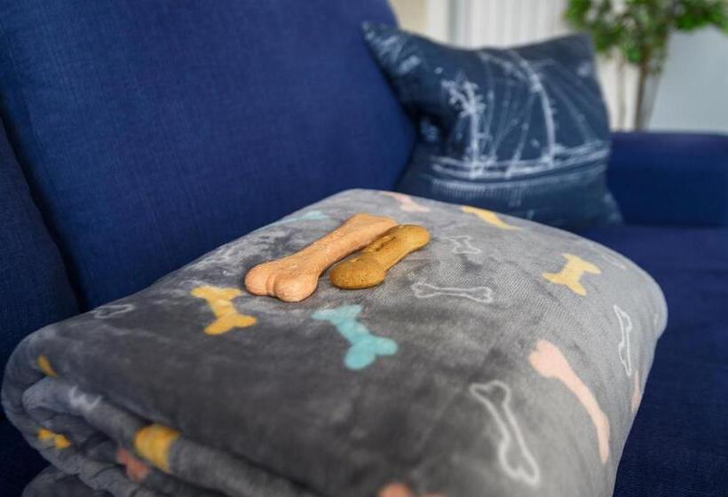 带1个卧室的高级公寓, The Salt Lodge