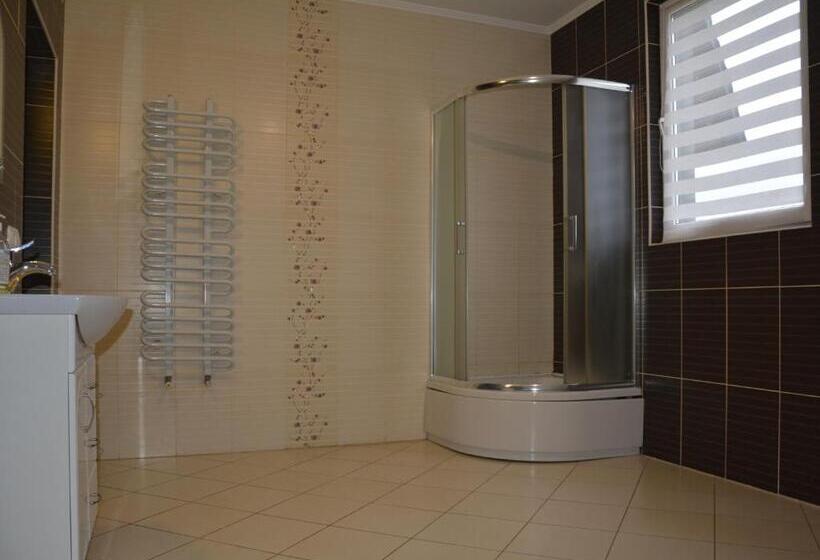 Cameră Standard, у мирослави