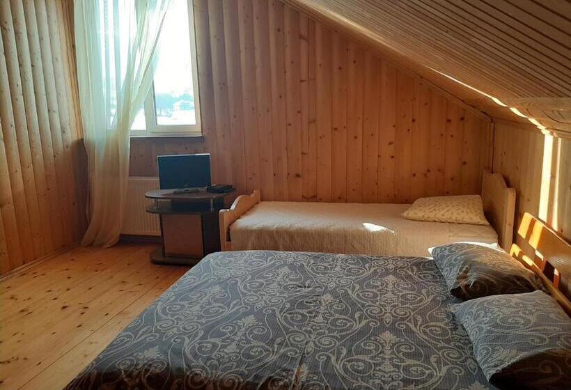 Cameră Standard, у мирослави