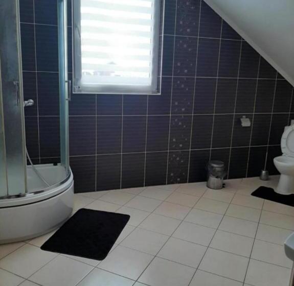 Vilă 1 Dormitor, у мирослави