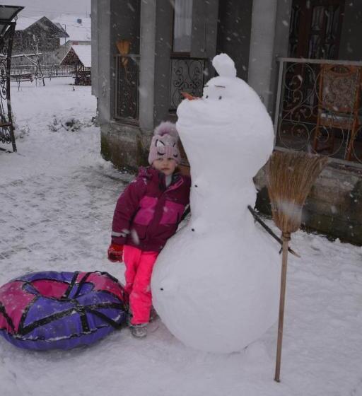 Cameră Standard, у мирослави