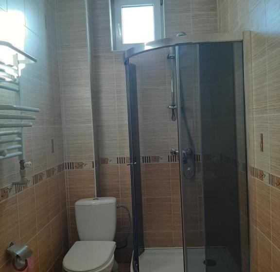 Cameră Standard, у мирослави