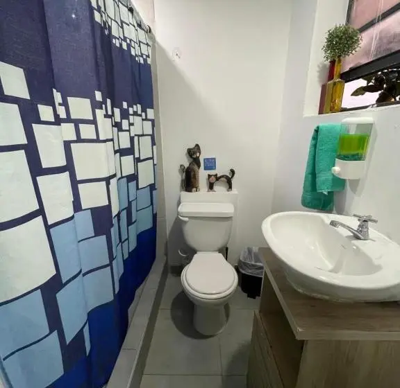 اتاق کلاسیک چهارنفره, Sarah S Place San Andres