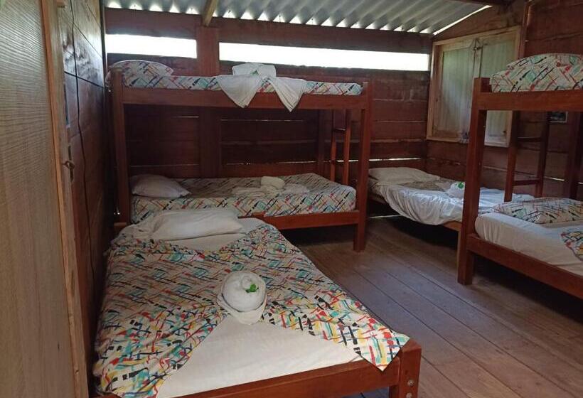 Кровать в Общей Комнате, Casa Hostal Playa Coral