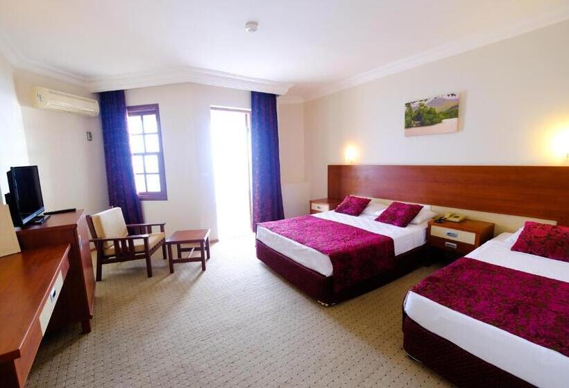 スタンダードシングルルーム, Anitas