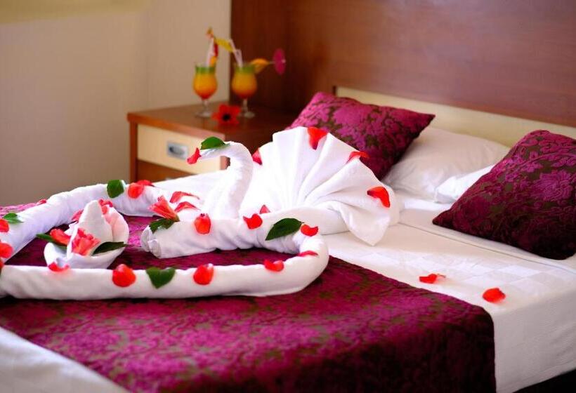 スタンダードシングルルーム, Anitas