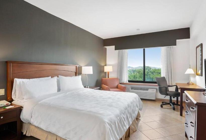 带大床的标准间, Holiday Inn Panama Canal, An Ihg