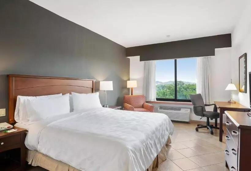 اتاق استاندارد با تخت بزرگ, Holiday Inn Panama Canal, An Ihg