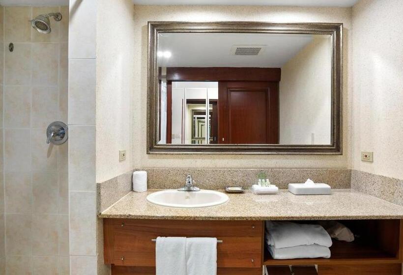 스탠다드 룸 킹사이즈 침대, Holiday Inn Panama Canal, An Ihg