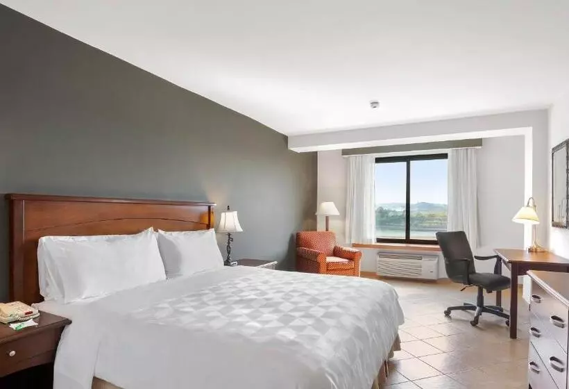 اتاق استاندارد با تخت بزرگ, Holiday Inn Panama Canal, An Ihg