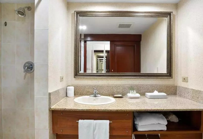 اتاق استاندارد با چشم‌انداز استخر, Holiday Inn Panama Canal, An Ihg