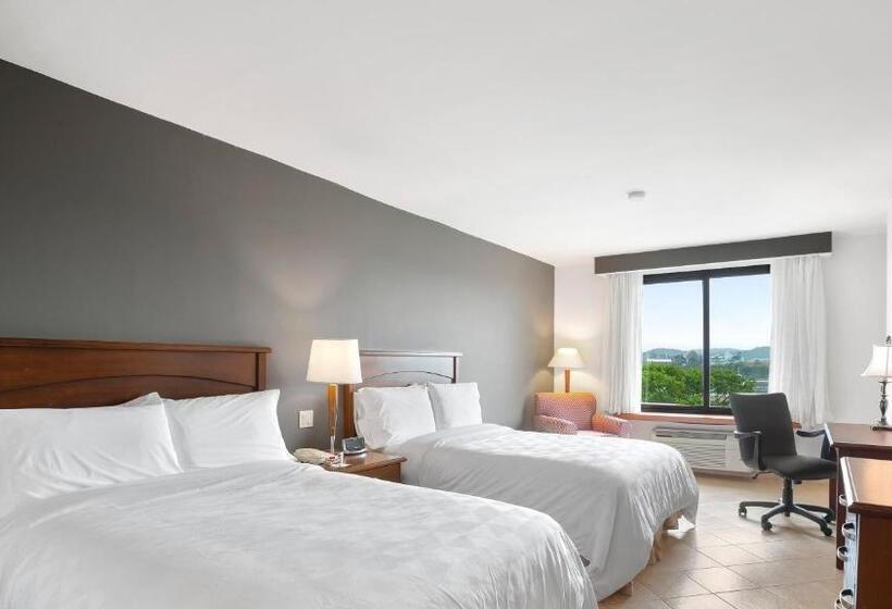 带观景的标准间, Holiday Inn Panama Canal, An Ihg