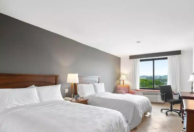 اتاق استاندارد با چشم‌انداز, Holiday Inn Panama Canal, An Ihg