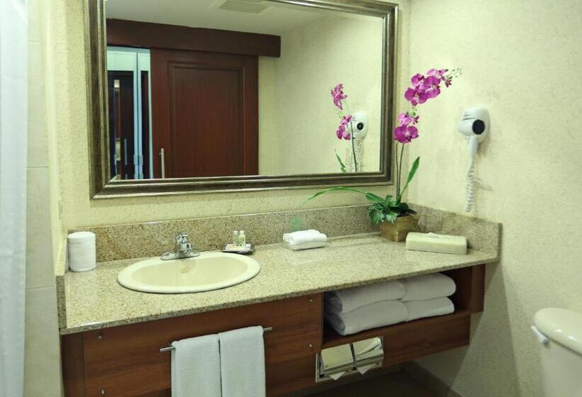 스탠다드 전망 룸, Holiday Inn Panama Canal, An Ihg