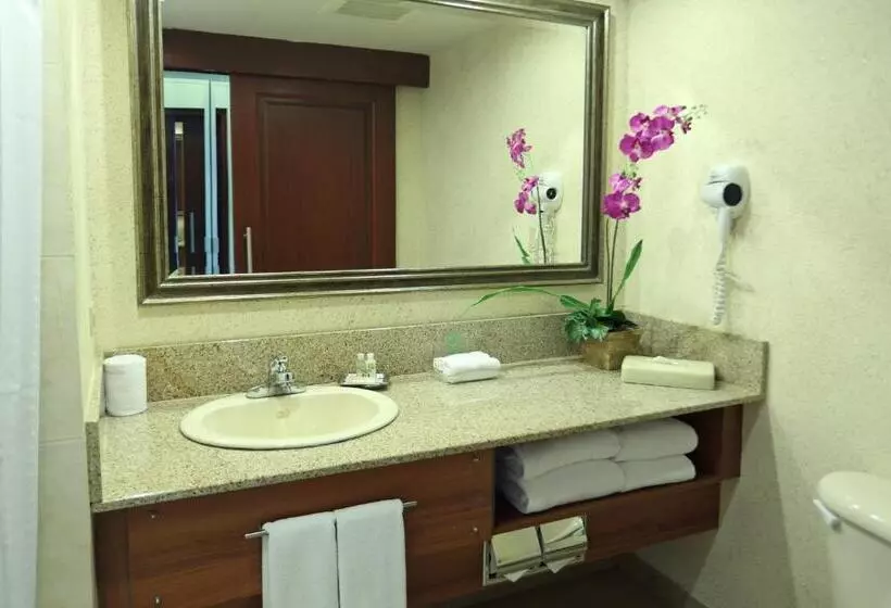اتاق استاندارد برای معلولان, Holiday Inn Panama Canal, An Ihg