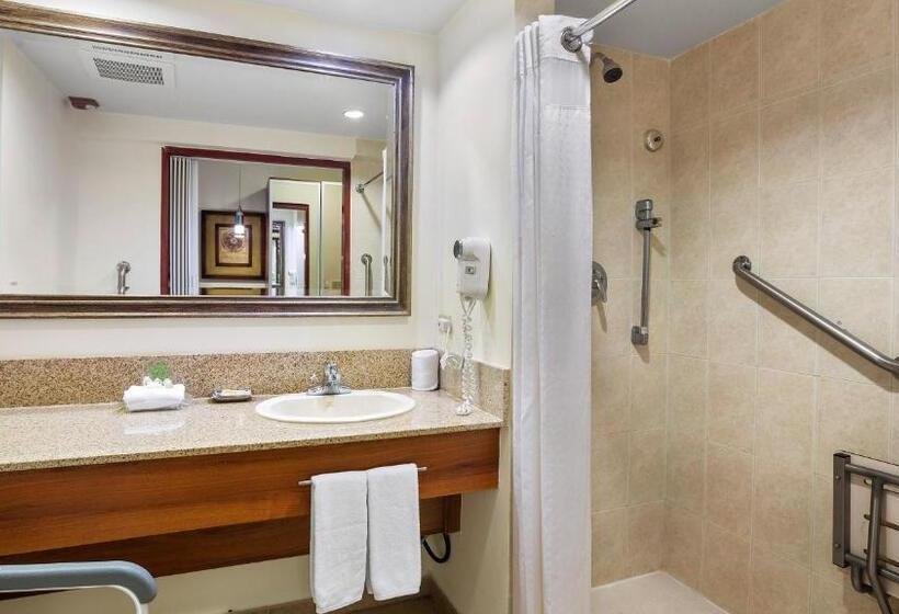 适合残疾人使用的标准间, Holiday Inn Panama Canal, An Ihg