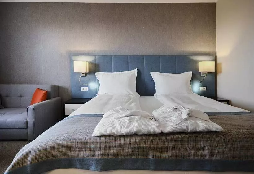 اتاق استاندارد, Spa Resort St Ivan Rilski  Halfboard & All Inclusive