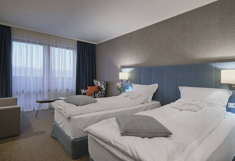 غرفة قياسية, Spa Resort St Ivan Rilski Halfboard & All Inclusive
