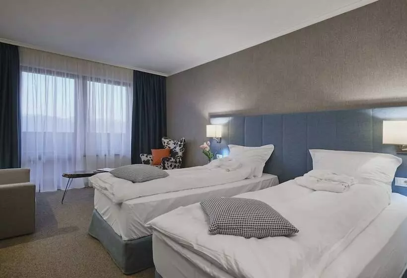 اتاق استاندارد, Spa Resort St Ivan Rilski  Halfboard & All Inclusive