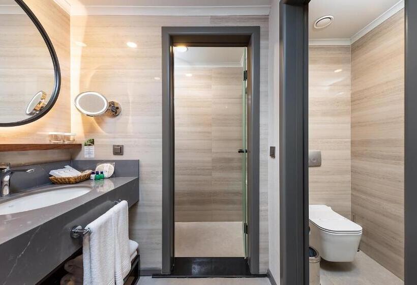 غرفة قياسية مطلّة علي حمام السباحة, Seaden Quality Resort & Spa Ultra All Inclusive