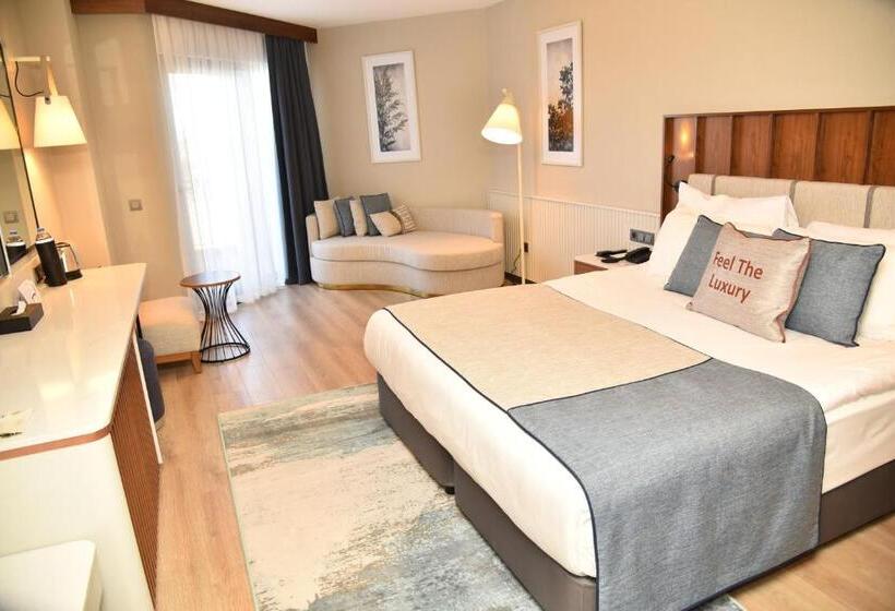 غرفة قياسية مطلّة علي حمام السباحة, Seaden Quality Resort & Spa Ultra All Inclusive