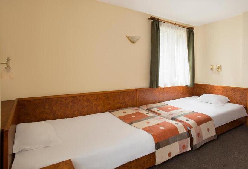 Номер Стандарт Индивидуальный, Victoria Hotel Borovets   Free Parking