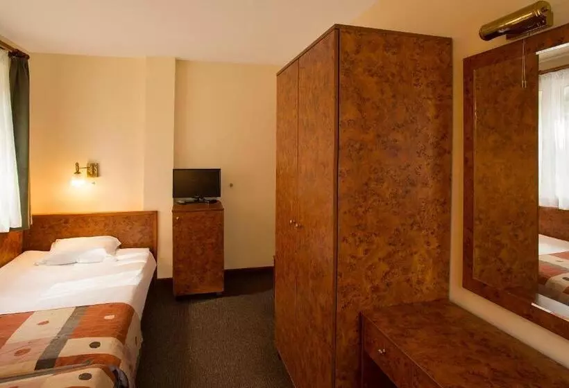 スタンダードシングルルーム, Victoria Hotel Borovets   Free Parking