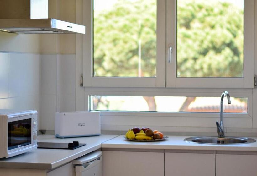 スタンダードスタジオ, Aparthotel Novo Sancti Petri