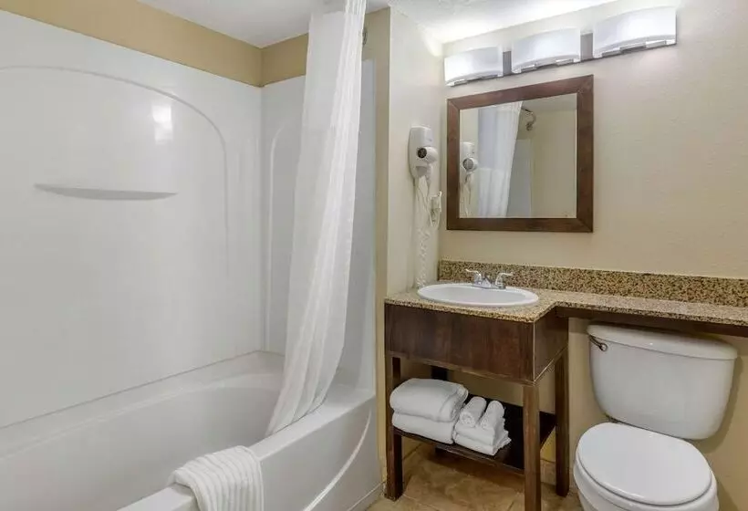 ２ダブルベッドのスタンダードルーム, Comfort Inn St Petersburg North