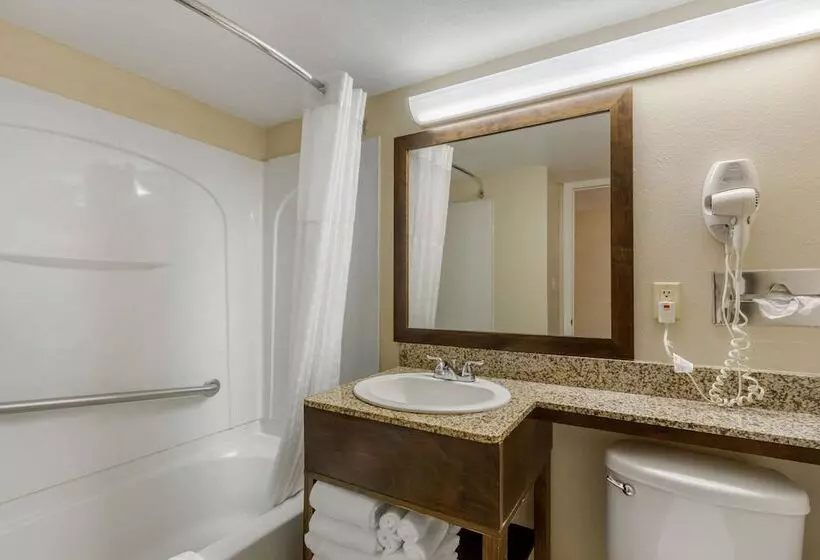 ２ダブルベッドのスタンダードルーム, Comfort Inn St Petersburg North
