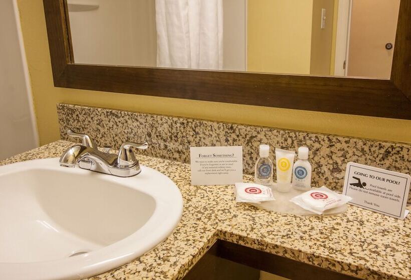 غرفه قياسيه سريرين مزدوجين, Comfort Inn St Petersburg North