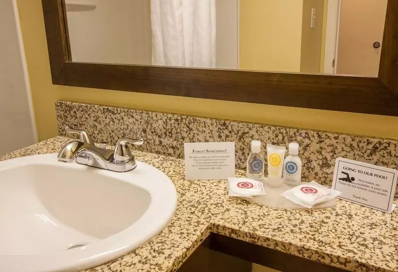 ２ダブルベッドのスタンダードルーム, Comfort Inn St Petersburg North