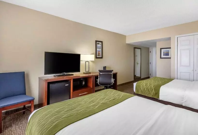 ２ダブルベッドのスタンダードルーム, Comfort Inn St Petersburg North