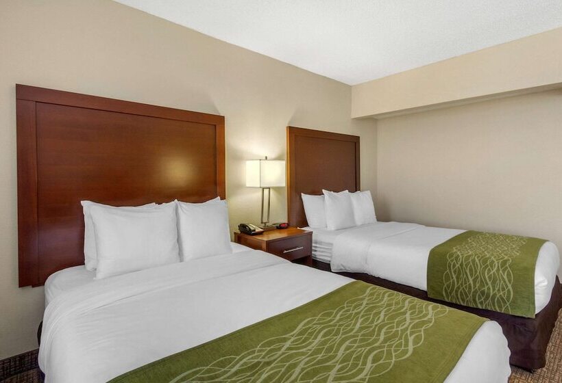 غرفه قياسيه سريرين مزدوجين, Comfort Inn St Petersburg North