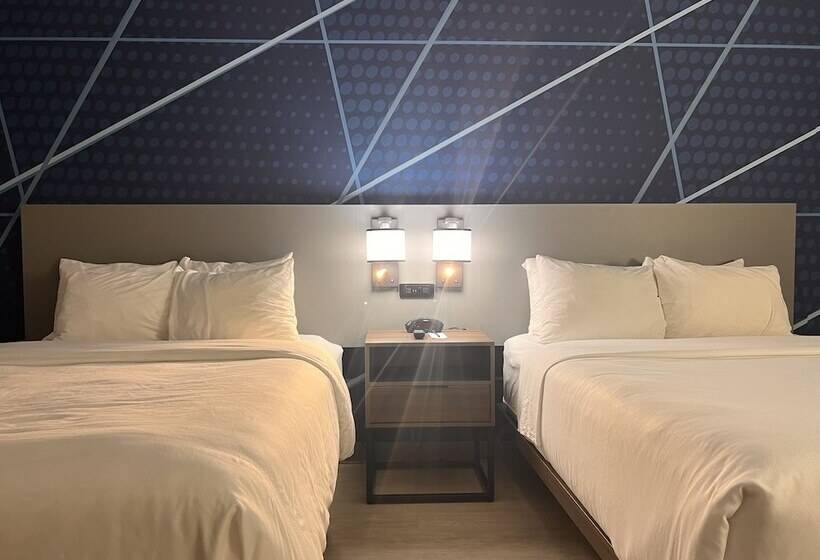 套房, Comfort Suites Louisville Airport