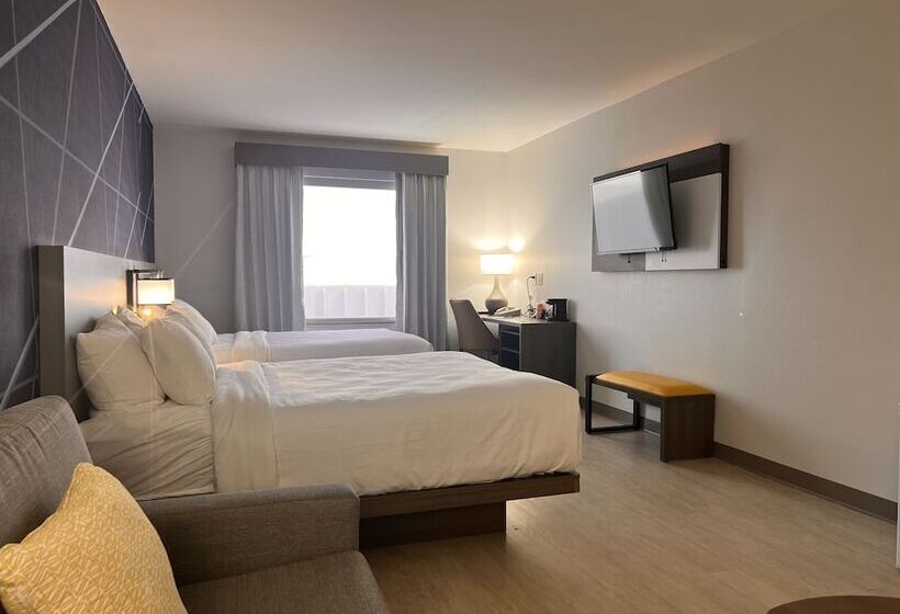 套房, Comfort Suites Louisville Airport