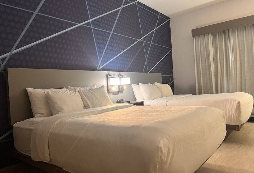 套房, Comfort Suites Louisville Airport