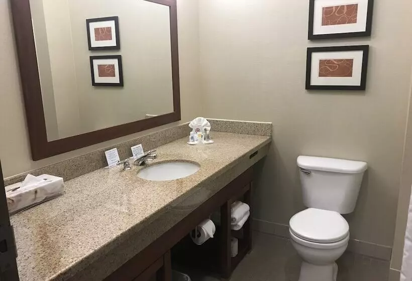 スイート, Comfort Suites Coralville I80