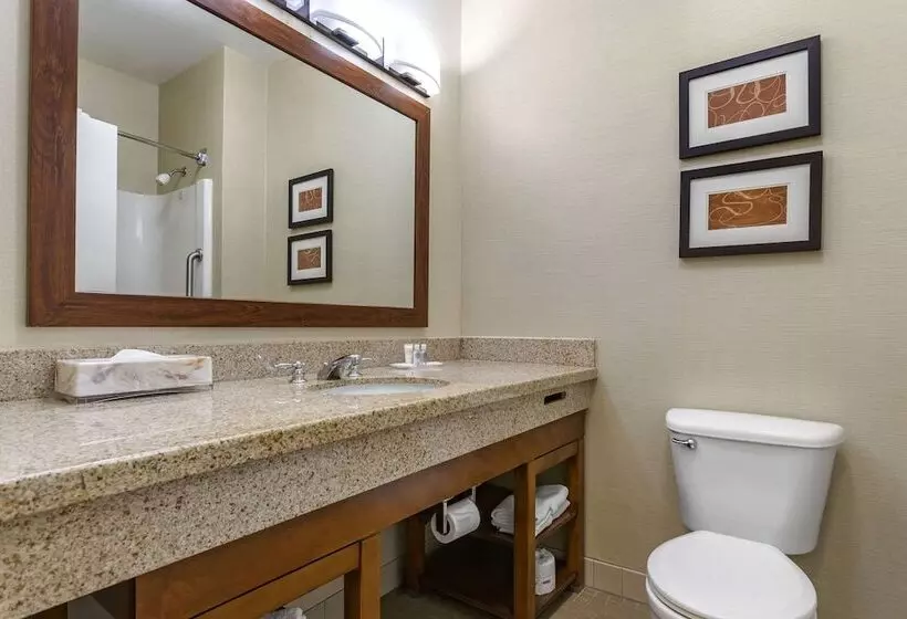 スイート, Comfort Suites Coralville I80