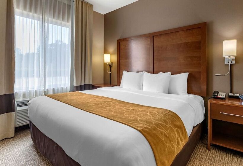 套房, Comfort Suites Coralville I80