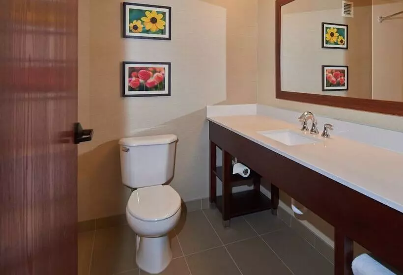 اتاق استاندارد, Comfort Suites Near Penn State