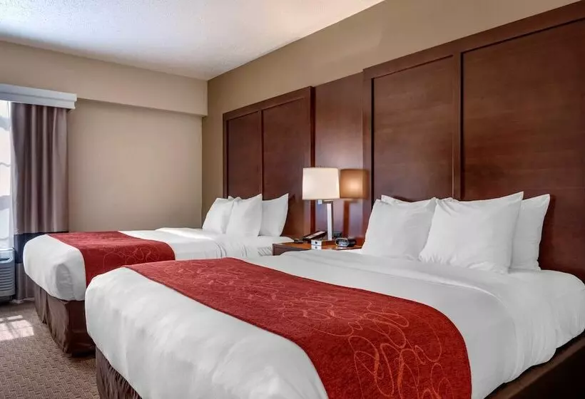 اتاق استاندارد, Comfort Suites Near Penn State