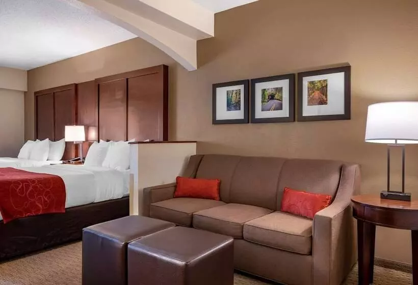 اتاق استاندارد, Comfort Suites Near Penn State