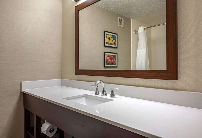 Номер Стандарт Кровать Кинг Адаптированный для Инвалидов, Comfort Suites Near Penn State