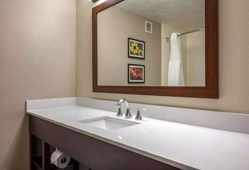 اتاق استاندارد با تخت بزرگ برای معلولان, Comfort Suites Near Penn State
