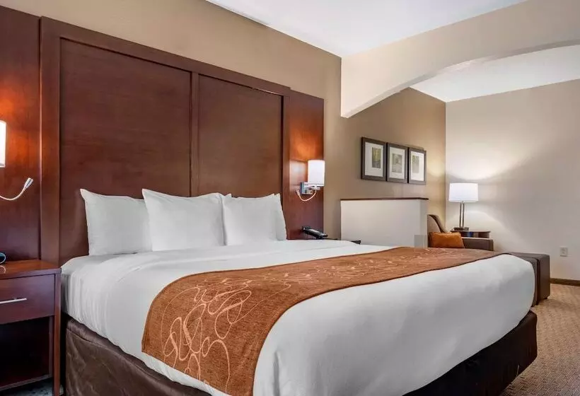اتاق استاندارد با تخت بزرگ برای معلولان, Comfort Suites Near Penn State