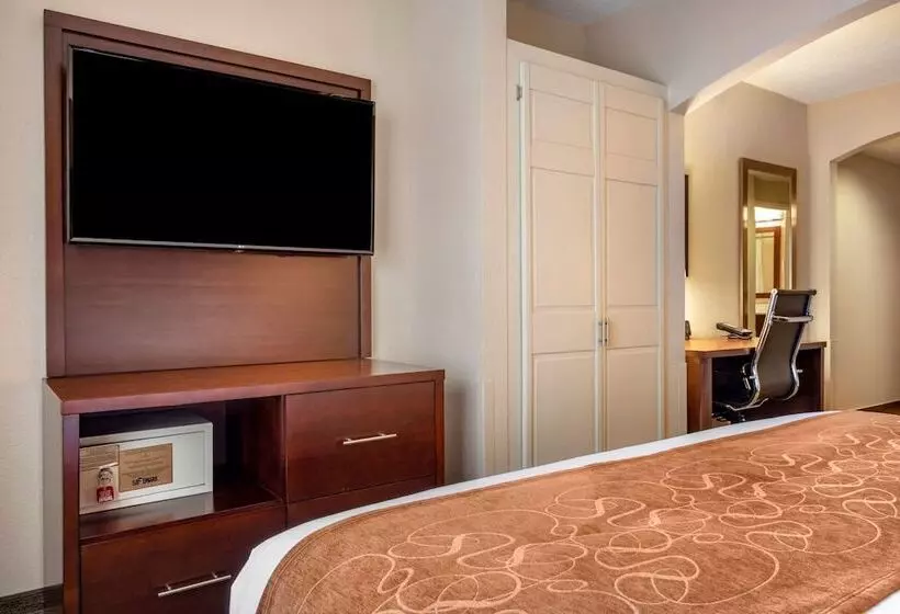 اتاق استاندارد با تخت بزرگ برای معلولان, Comfort Suites Near Penn State